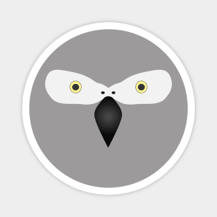 African Grey Parrot Halloween Costume Magnet